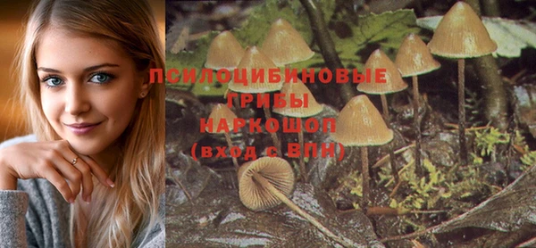 ГАЛЛЮЦИНОГЕННЫЕ ГРИБЫ Приозерск
